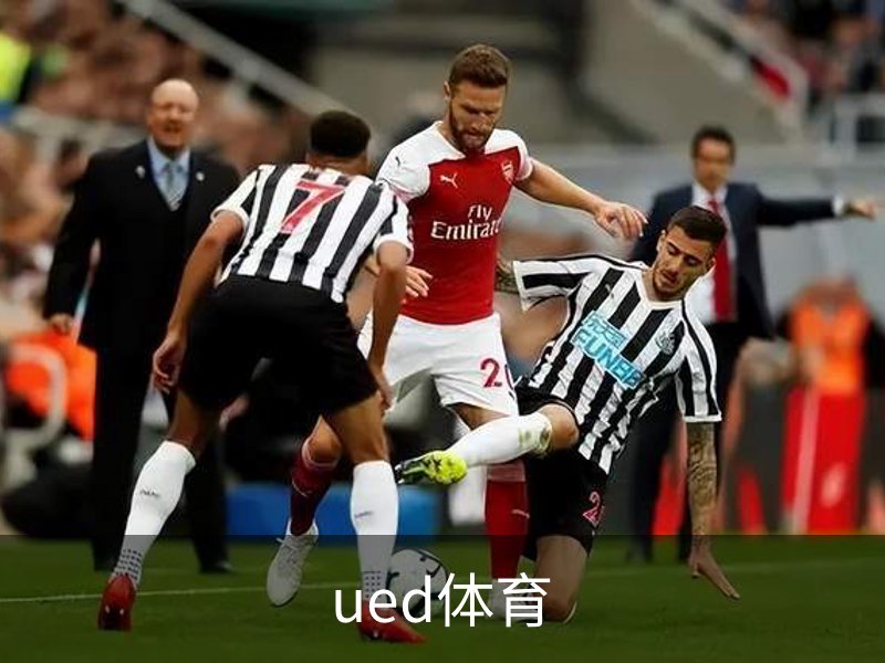 ued体育概况